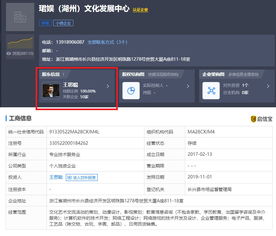 王思聰再被限制消費，計算機軟件技術開發(fā)背后的法律警示